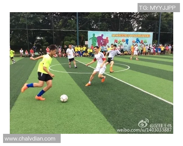 杠杆足球的崛起与挑战探讨如何在竞技与商业之间找到平衡