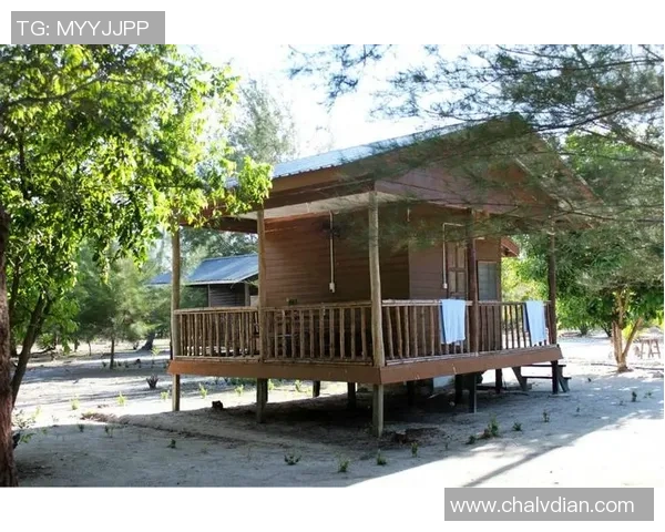 沙巴足球通道揭秘：畅游足球世界的最佳选择与攻略